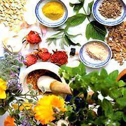 Ayurvedic & Herbal Products